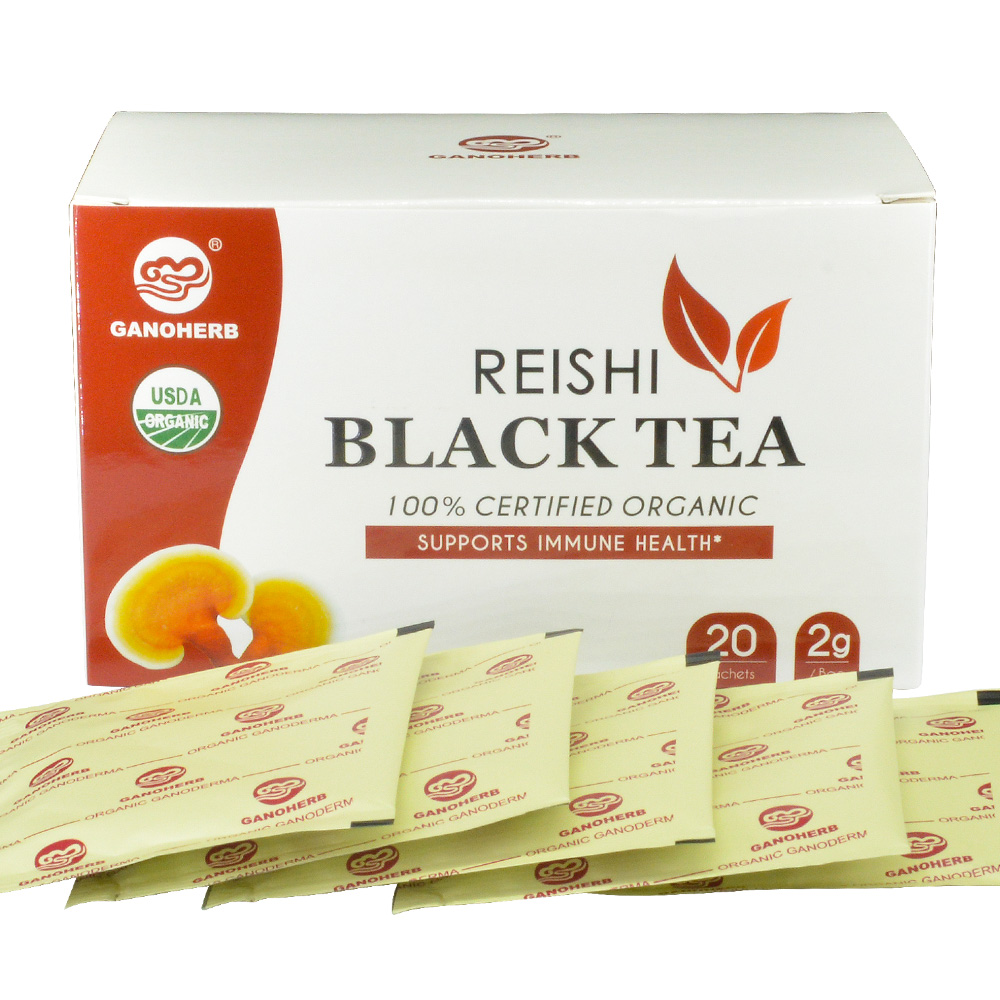 Private Label USDA Organic Reishi Mushroom Black Tea BagsInstant